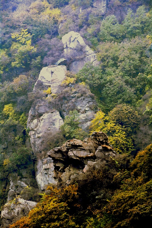 記者攝影家走進房山金祖山風景區(qū)釆風