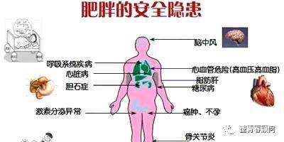 百病之源！肥胖的九大危害，你知道幾個？