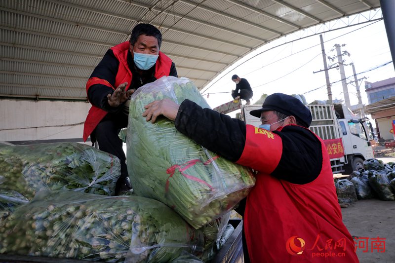 河南魯山：村民有序趕種 自發(fā)捐贈蔬菜給戰(zhàn)“疫”一線