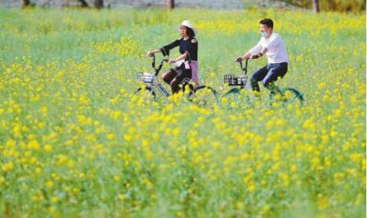 川人游川景區(qū)游客回流明顯