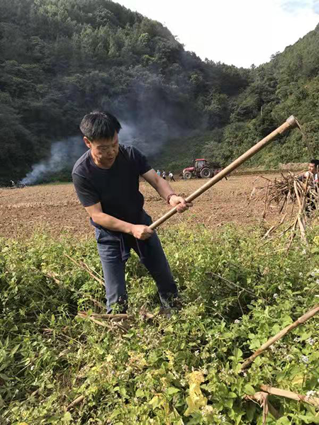 院士扶貧開(kāi)出致富花——普洱“高端路線(xiàn)”成典范