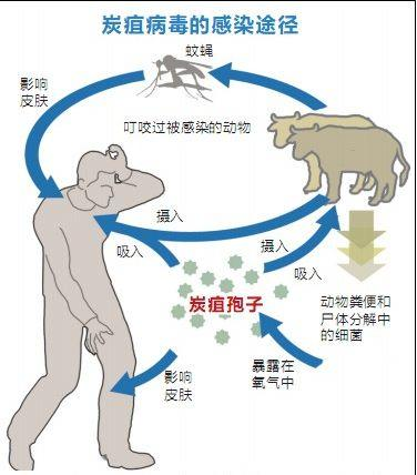 北京疾控提醒：五一出游，人與動(dòng)物保持距離