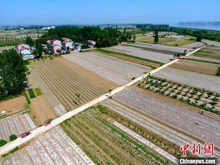 千里漢江第一洲：“漁民村”蝶變“漢江綠島”