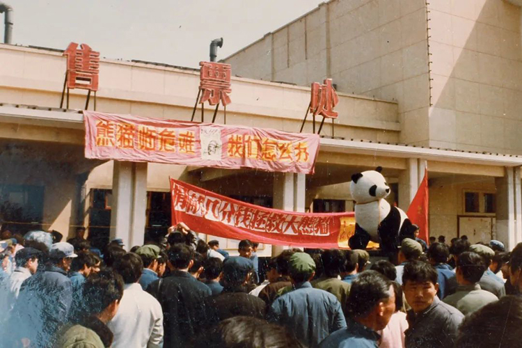 中國(guó)國(guó)家公園，到底有多寶藏？