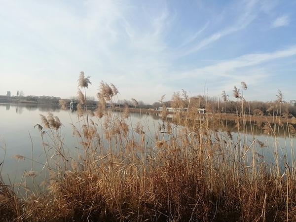 大雪節(jié)氣下的念壇公園