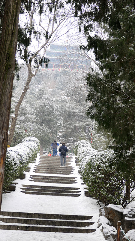 雪中景山公園、故宮