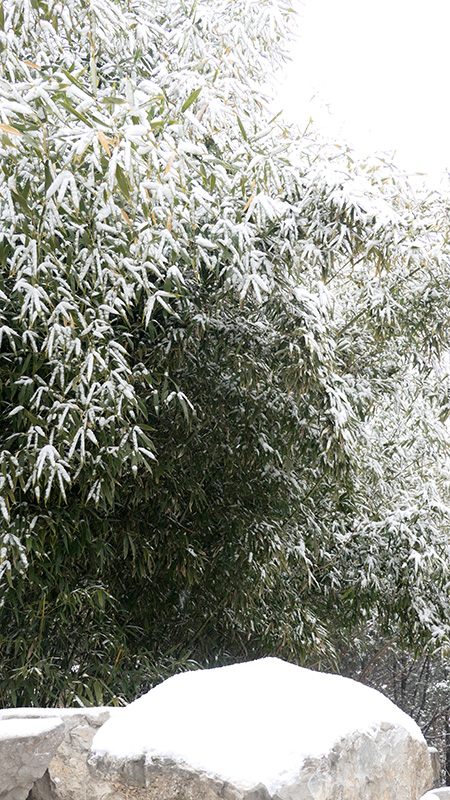 雪中景山公園、故宮