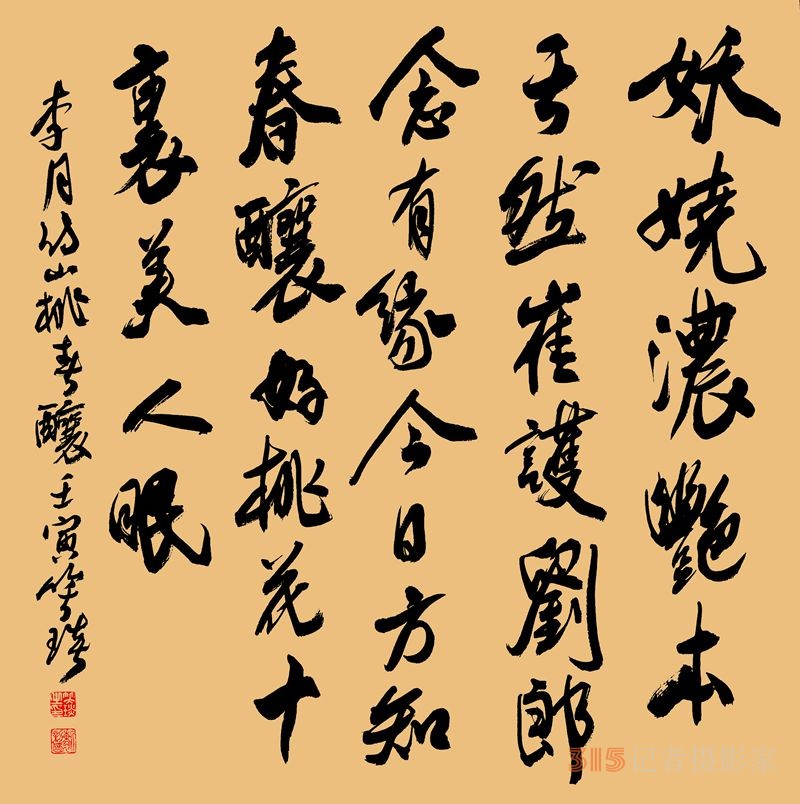 笑琰書李月寫春的詩詞 