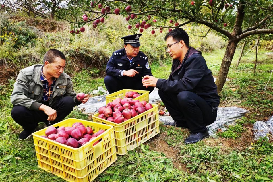 金秋十月好“警”色 豐收時(shí)節(jié)“警”相隨